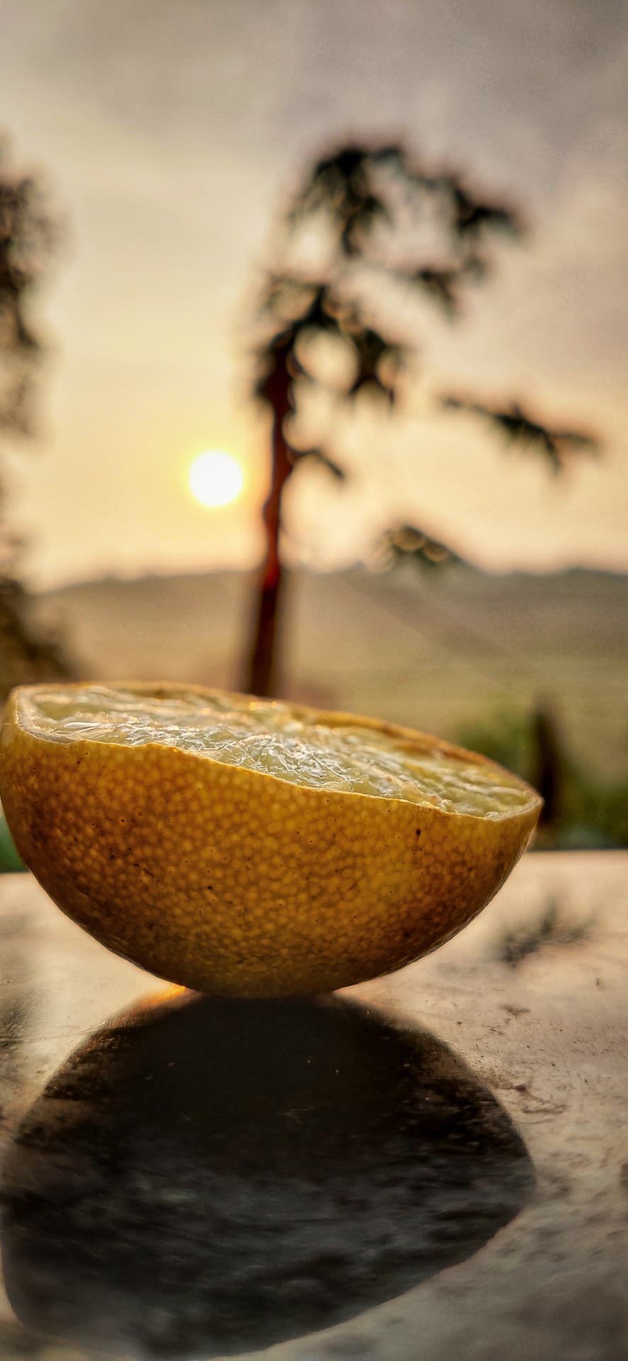 lemon fresh