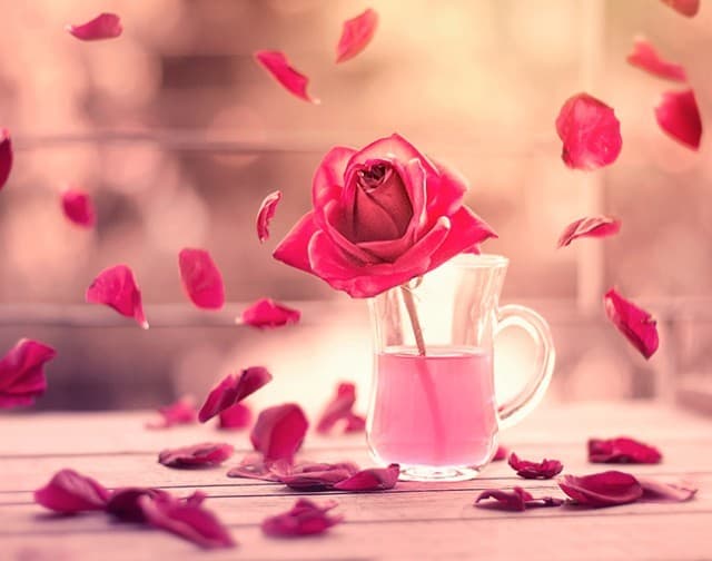 For You