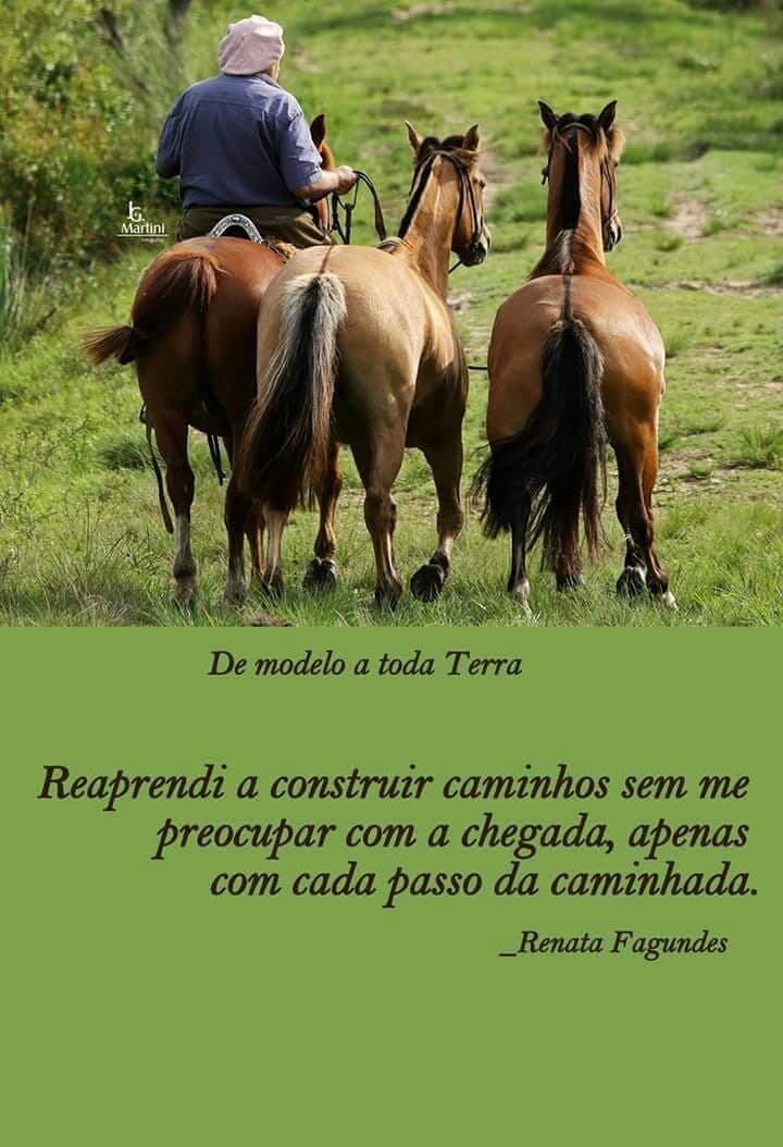 Campeirismo