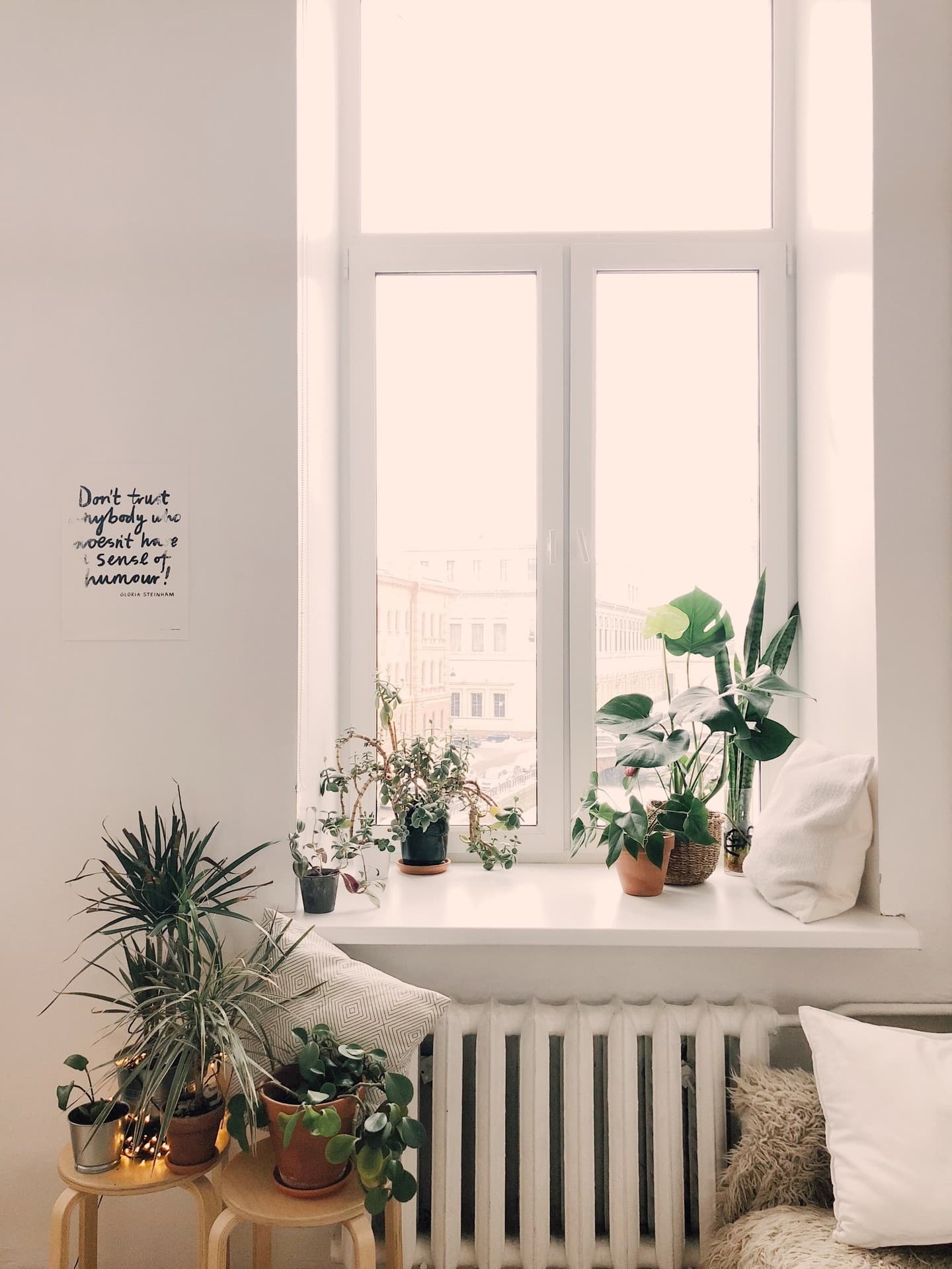 Planting in Room