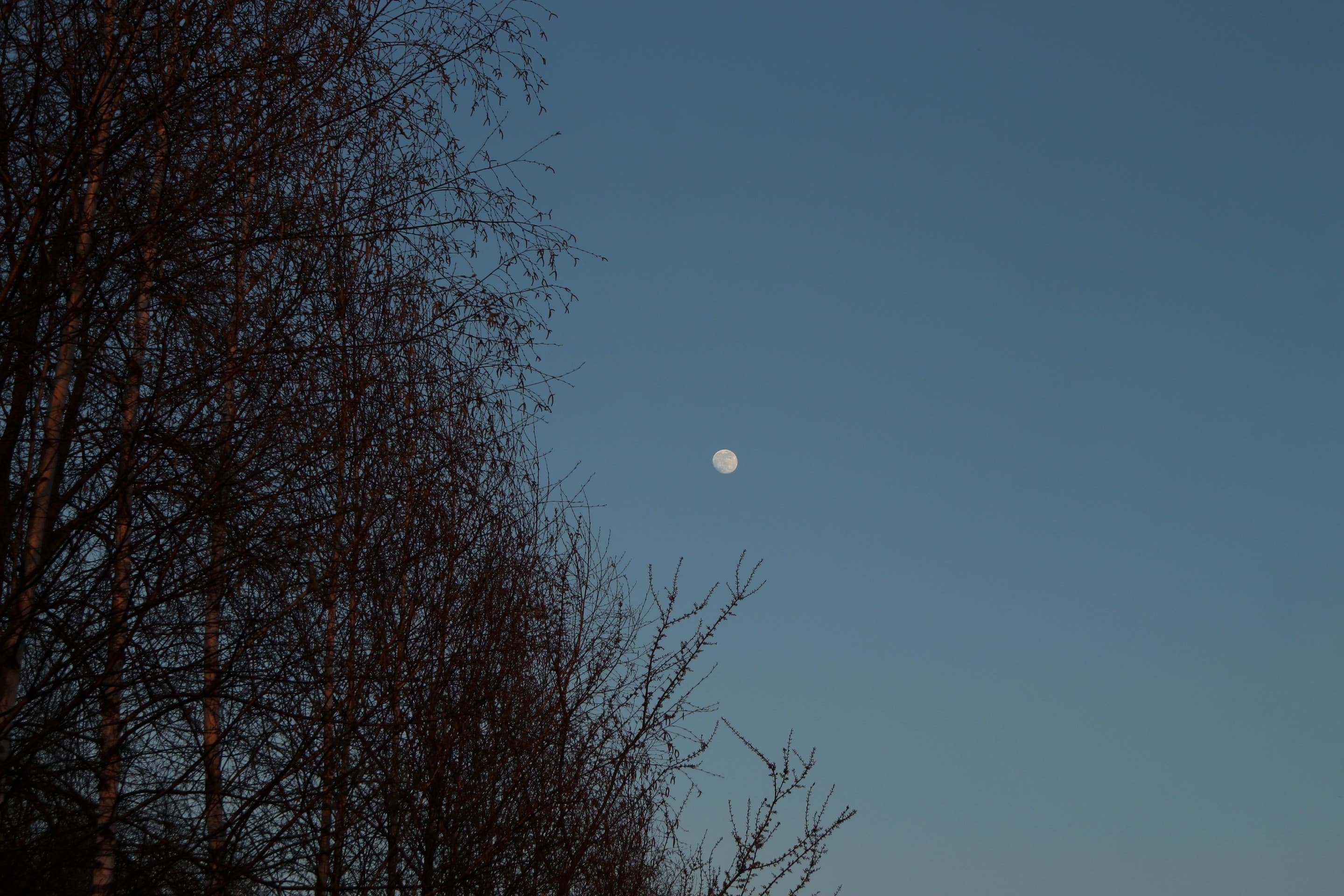 moon ?