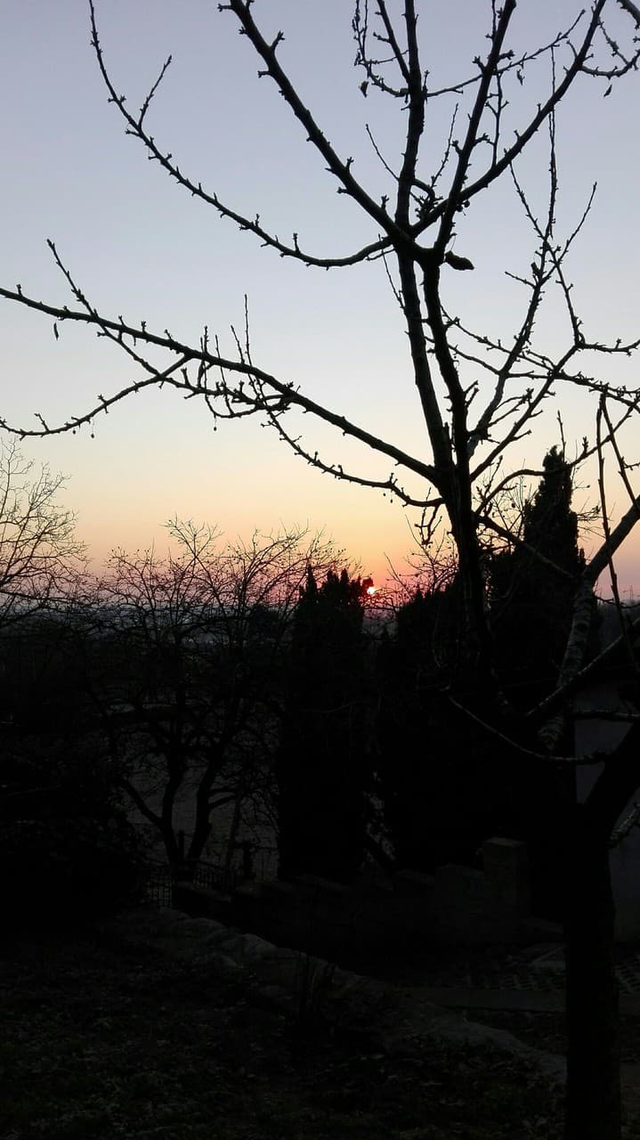 sunshine