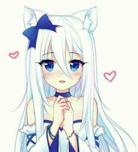 ????❤️