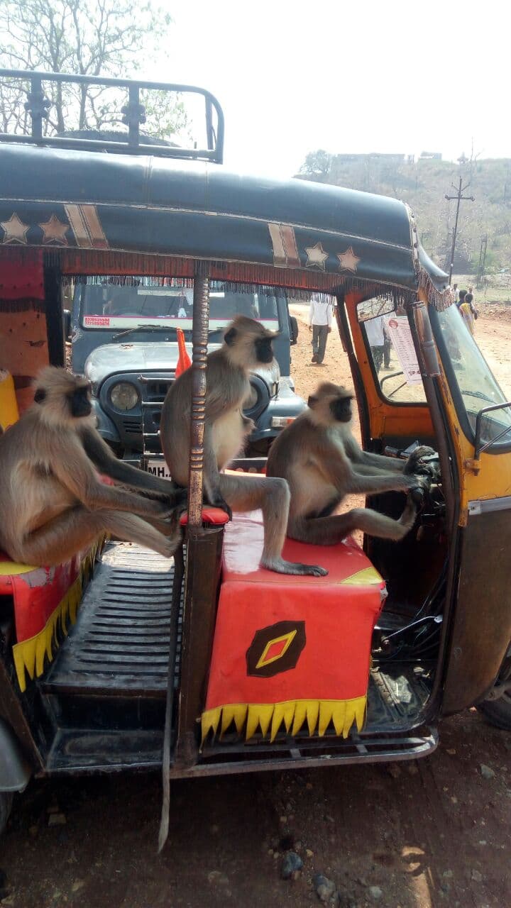 let's go for drive