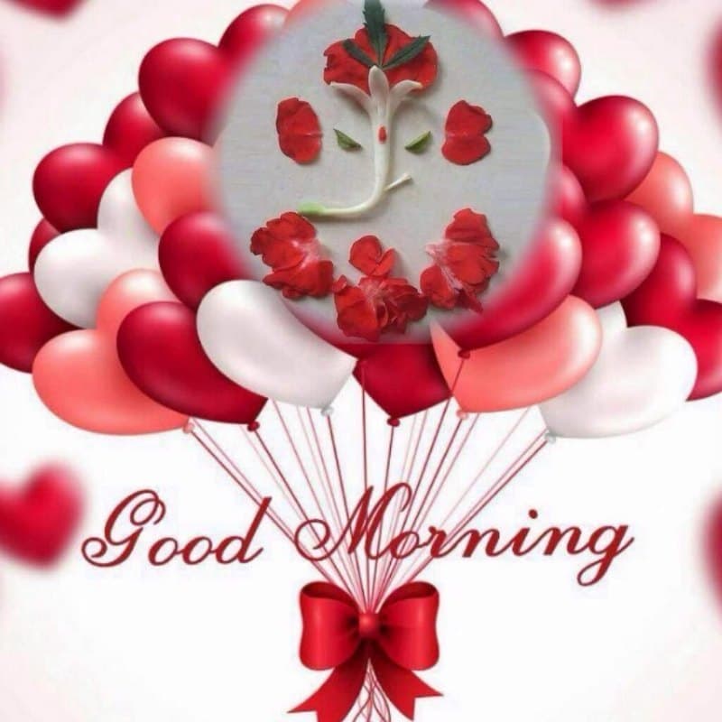 good morning