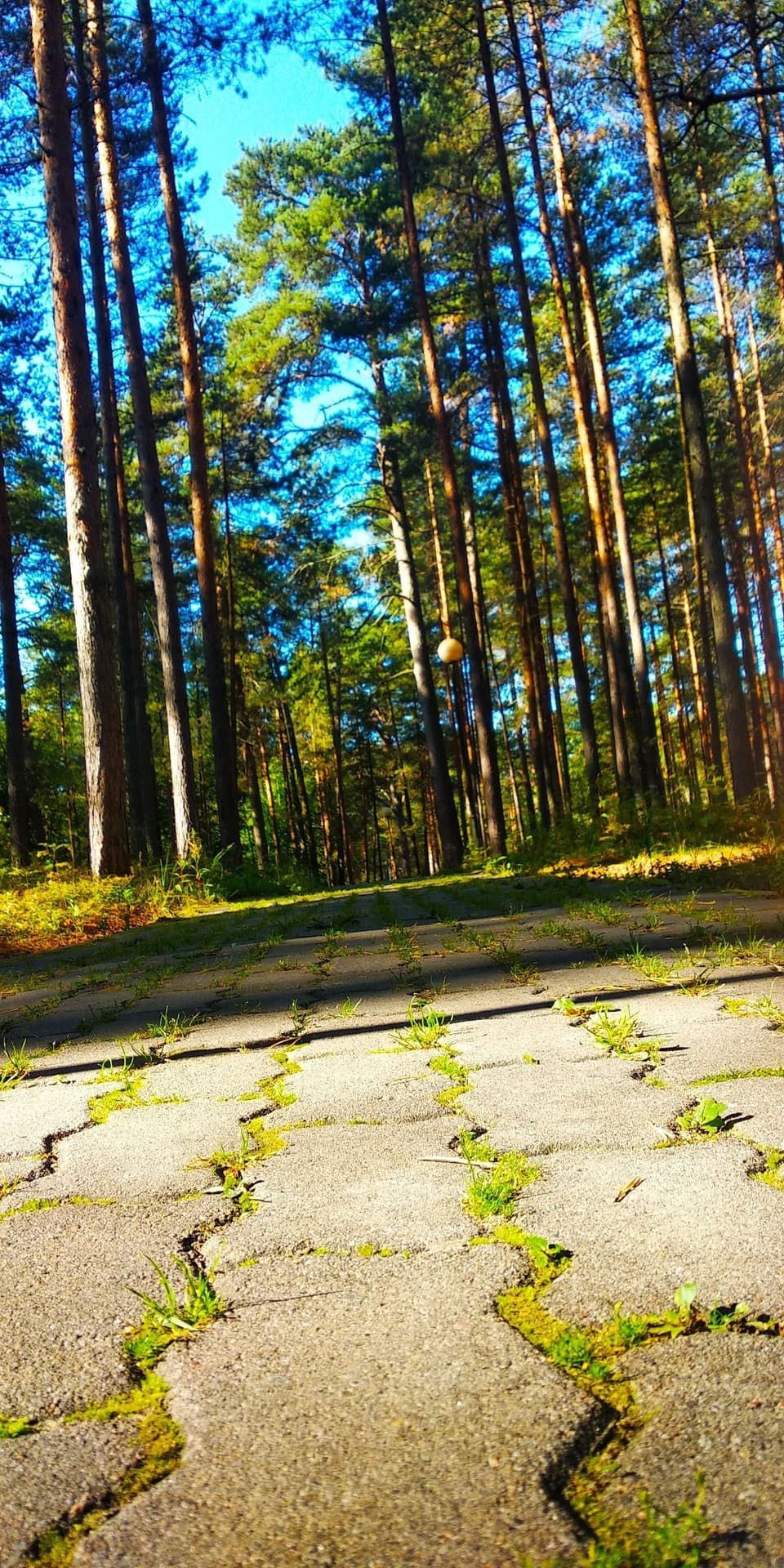 дорога