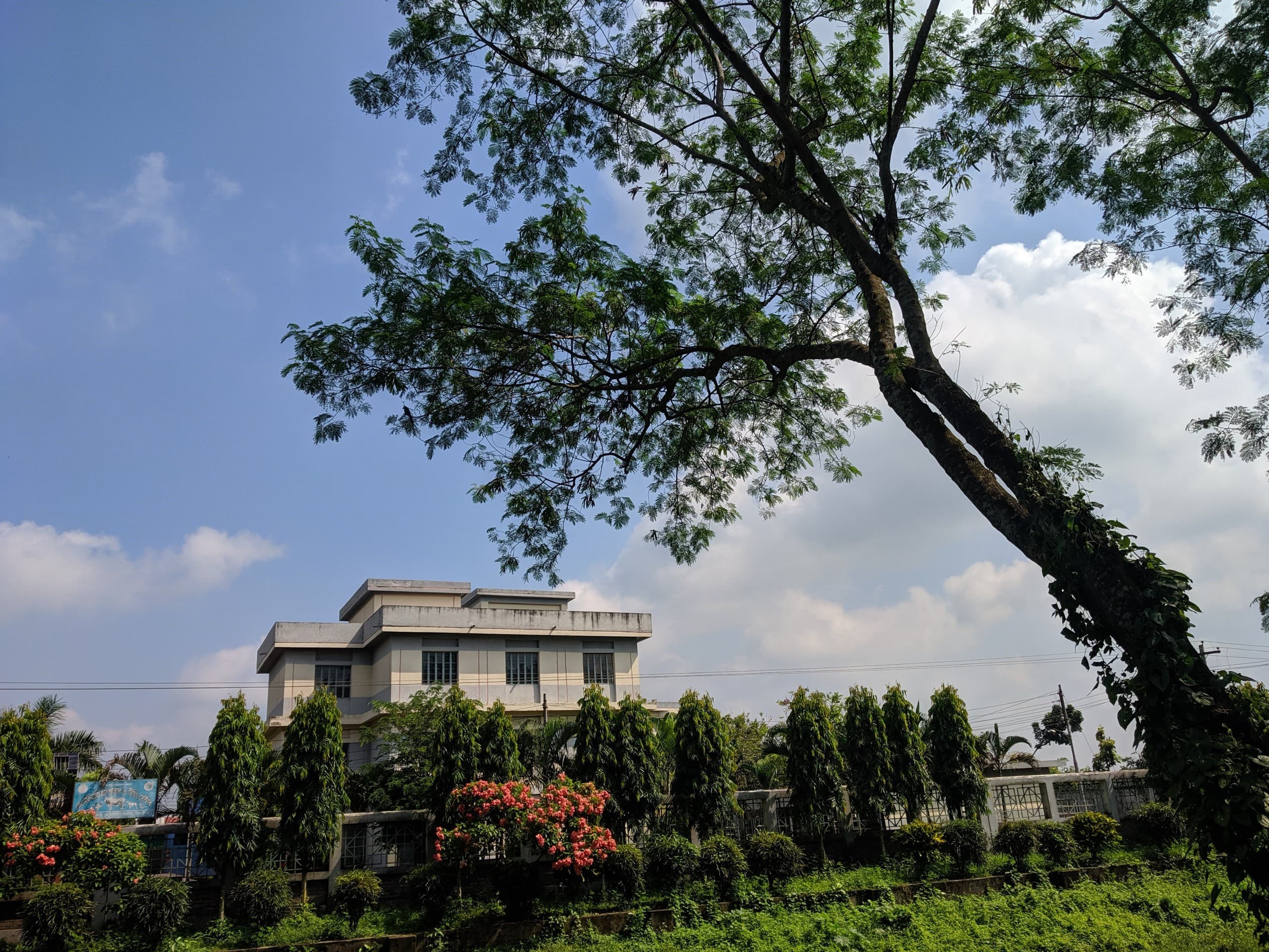 jhenidah vetenary college