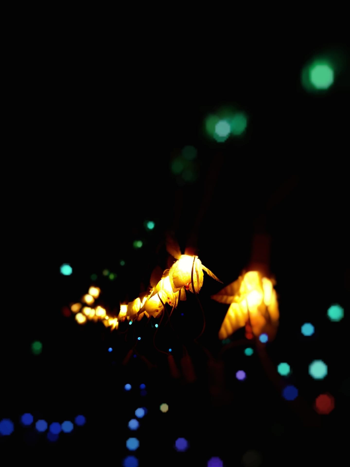 festive light
