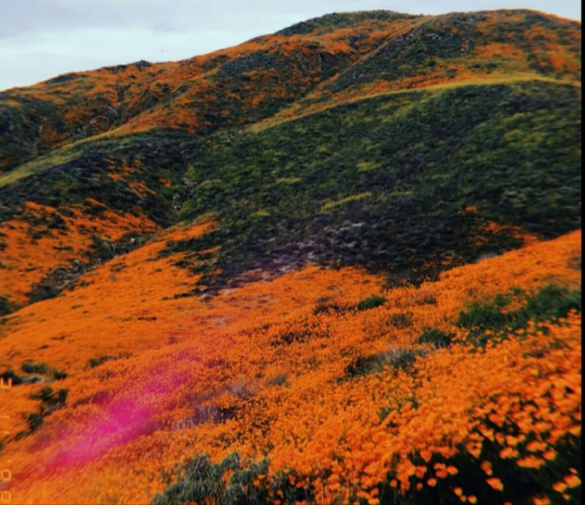 colorful hill
