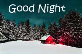 Good Night