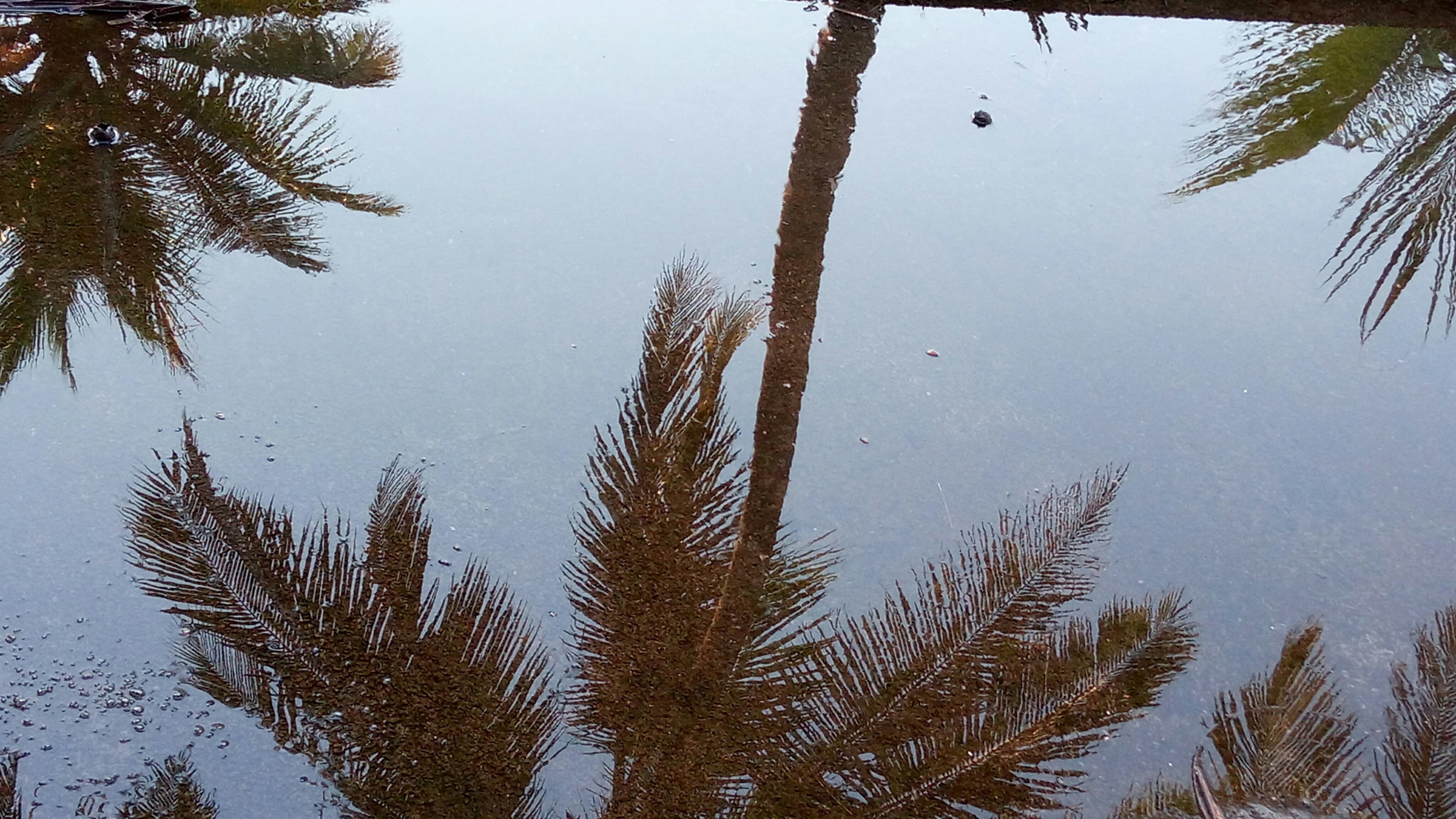 Reflection