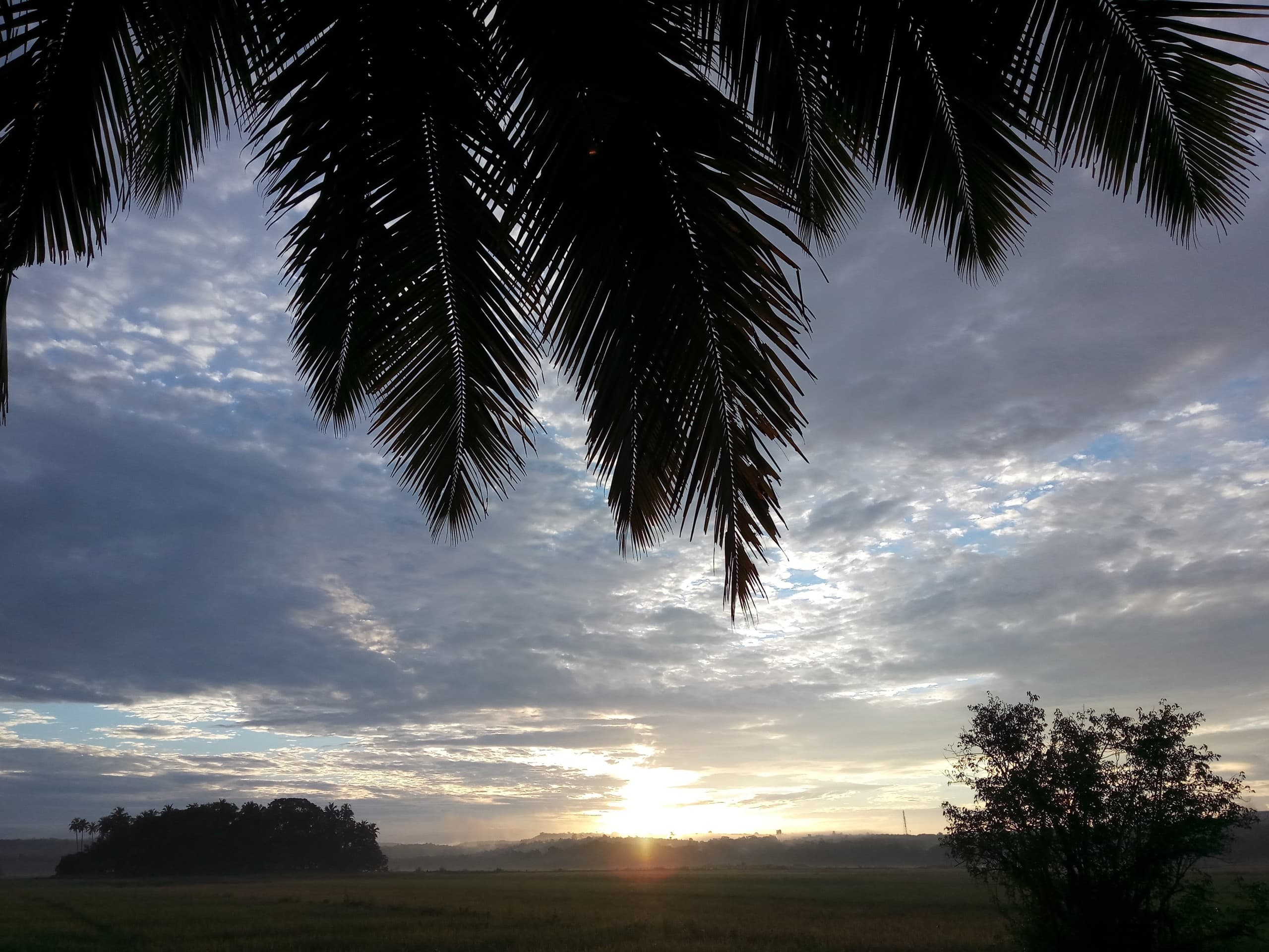 Good Morning