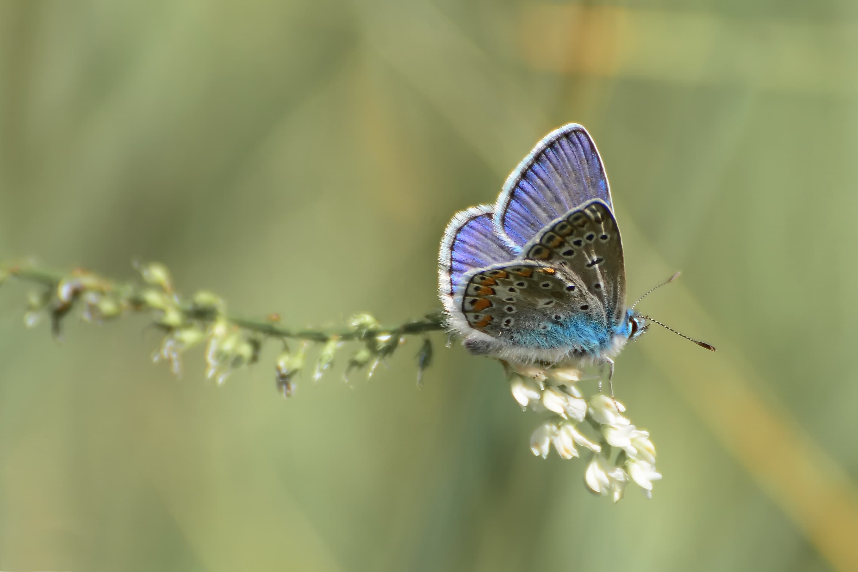500px HDR