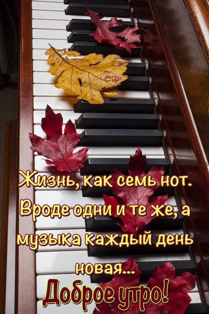 жизнь,как по нотам!