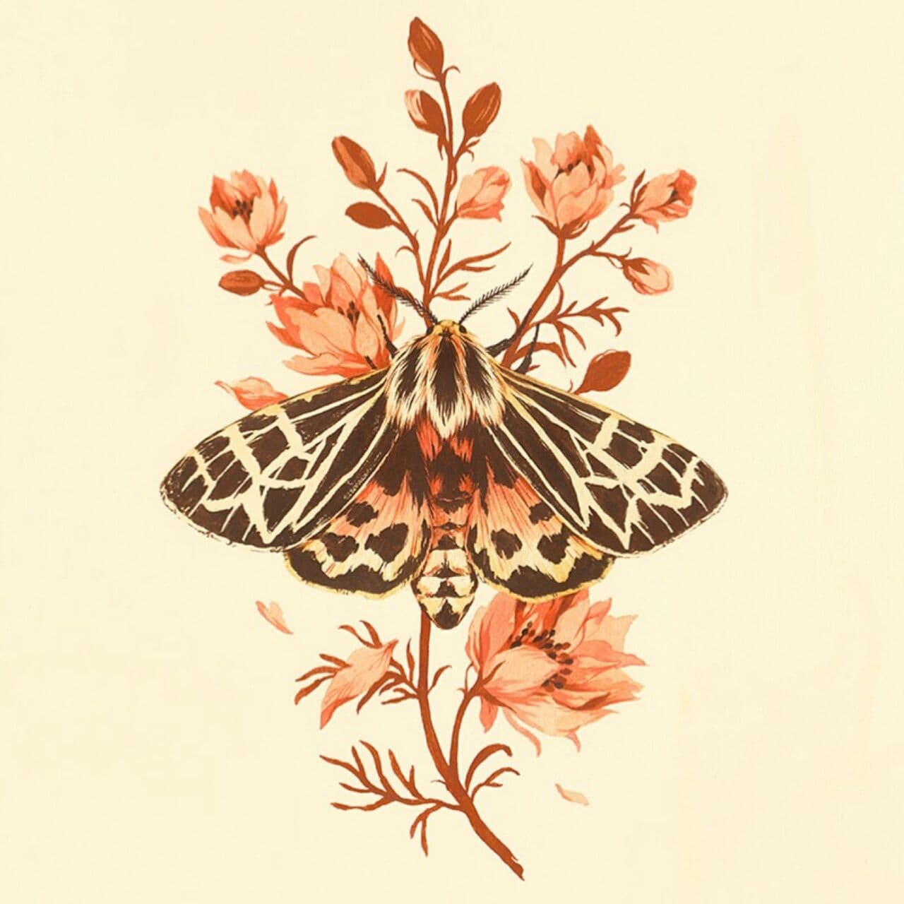 mariposas