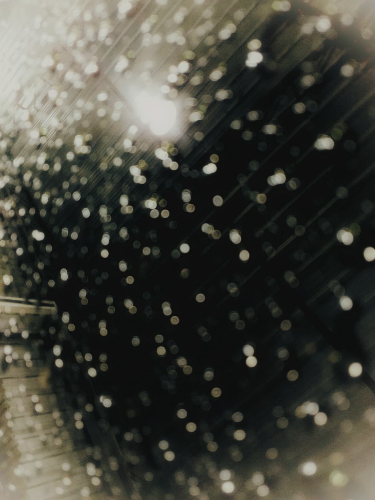 Rain