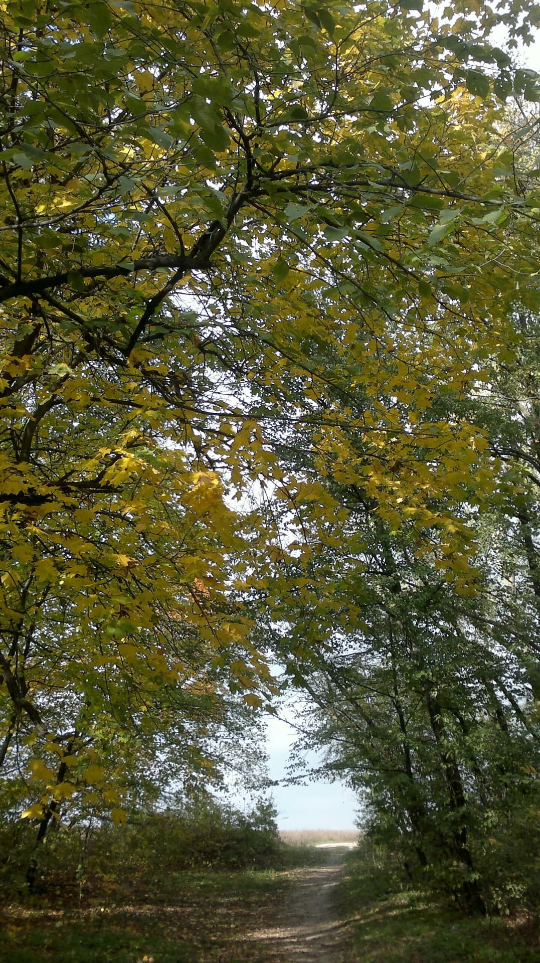path