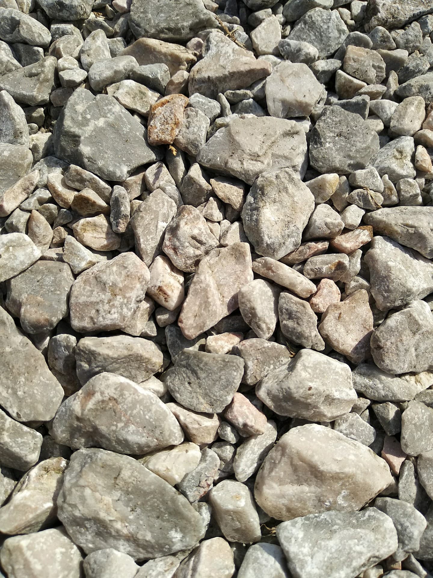 Rocks