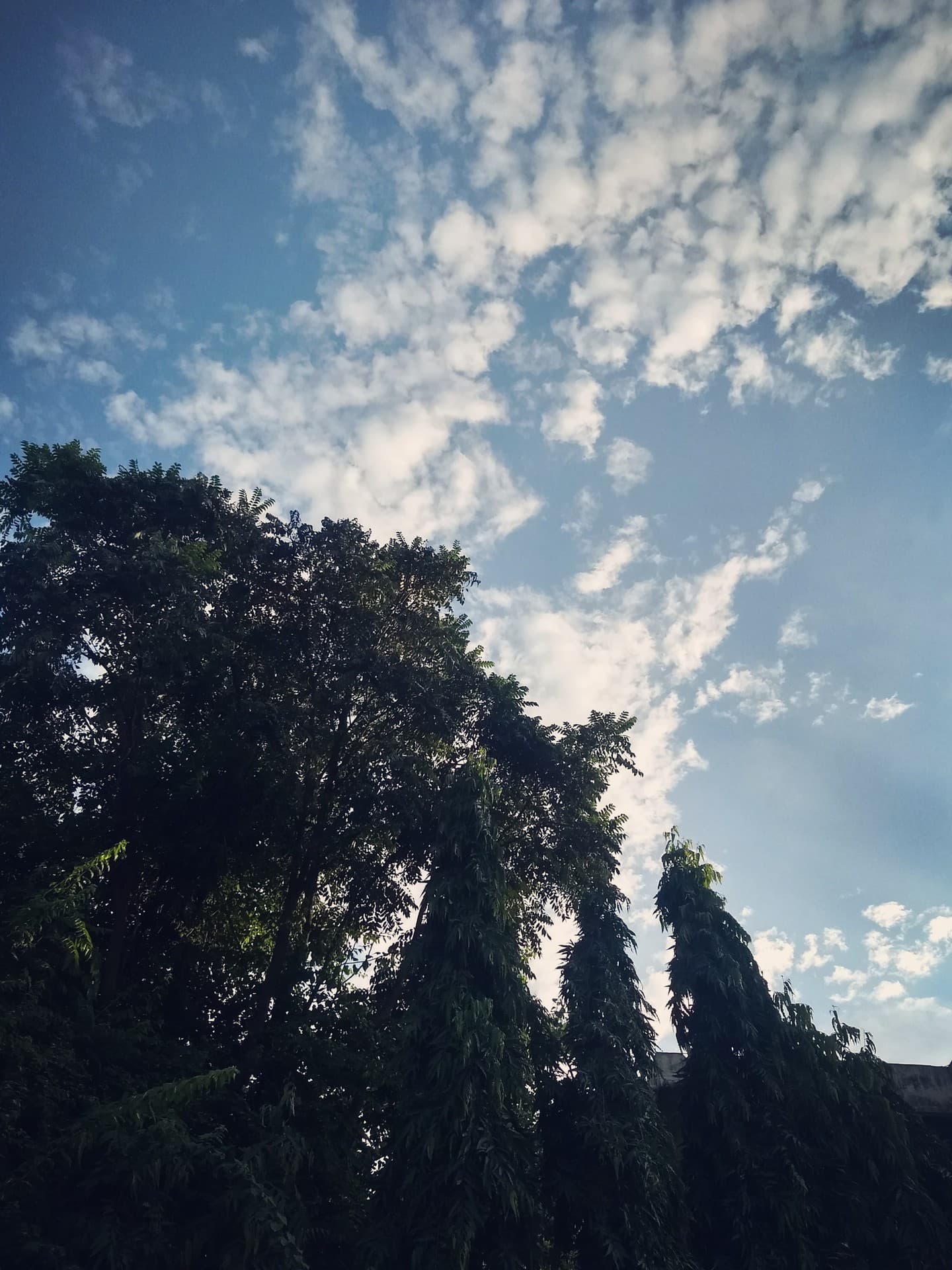 Kissing the sky