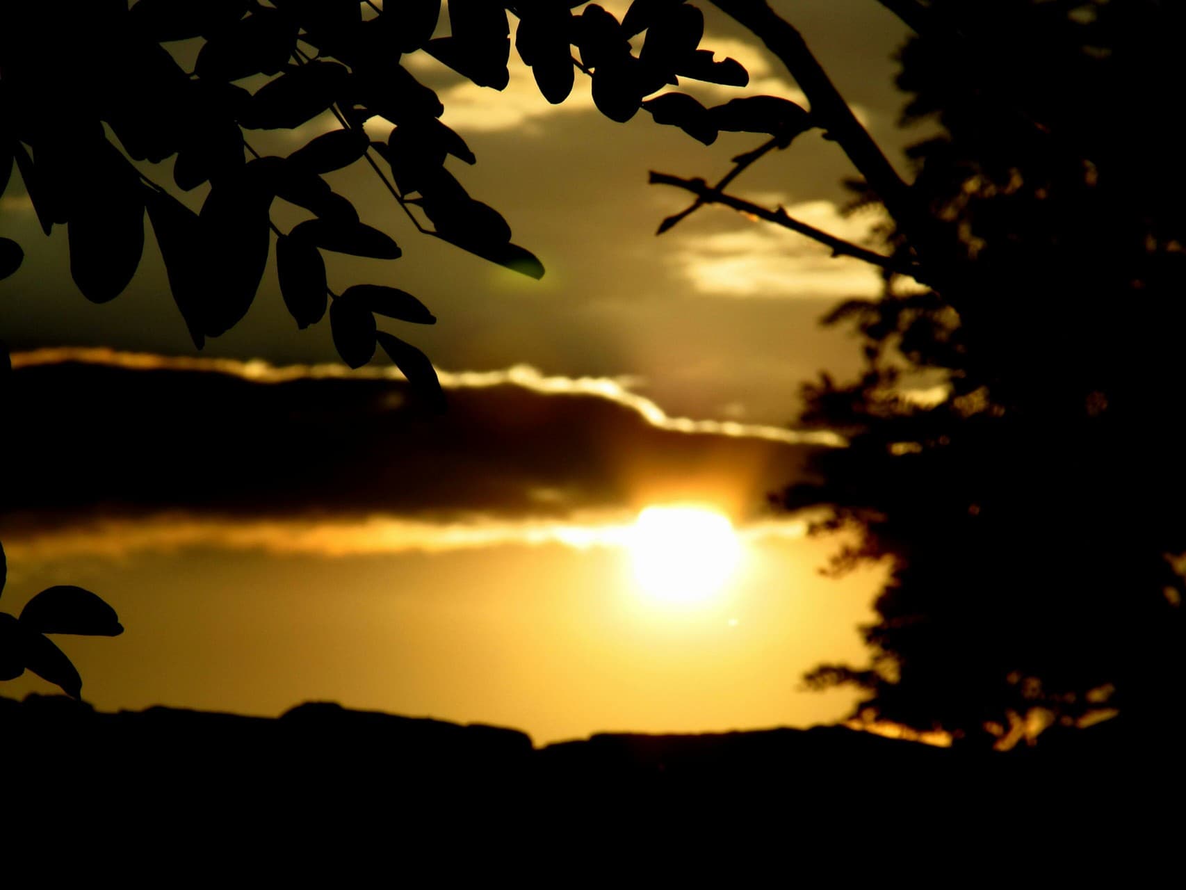 Sun in the evening