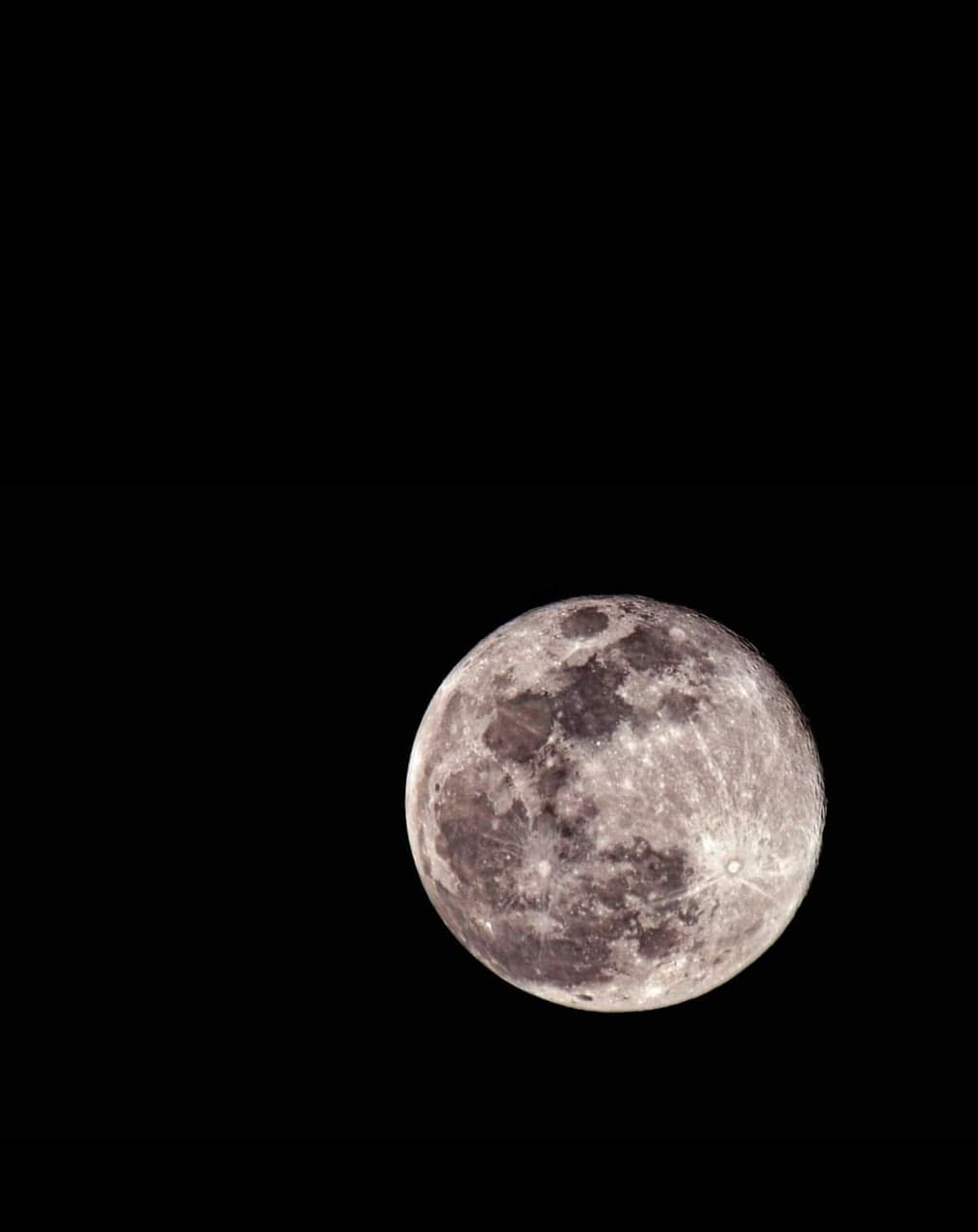 The Pink Moon