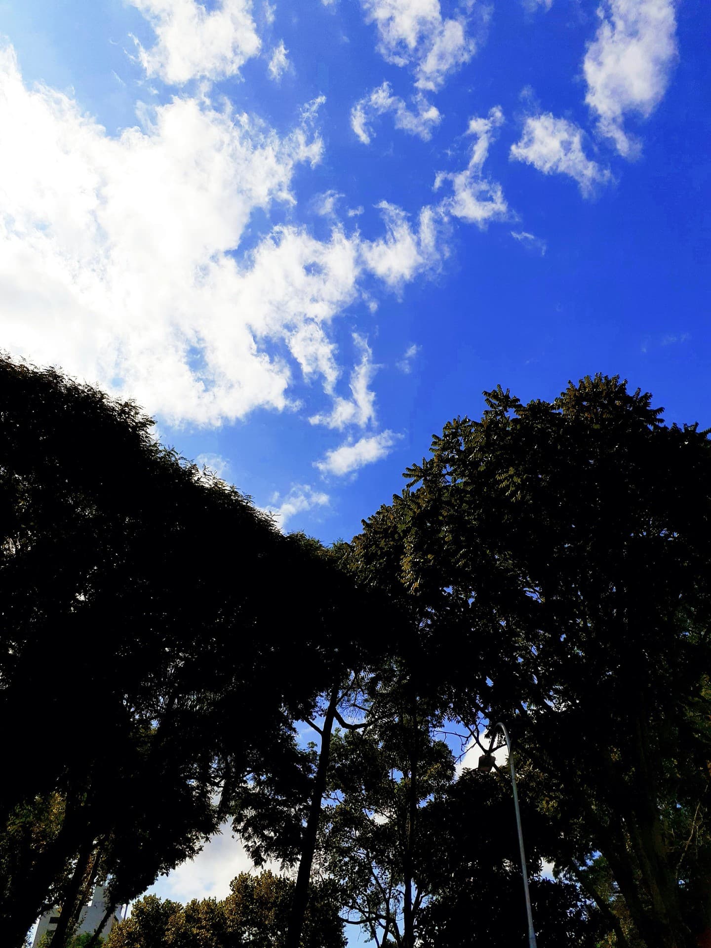 sky