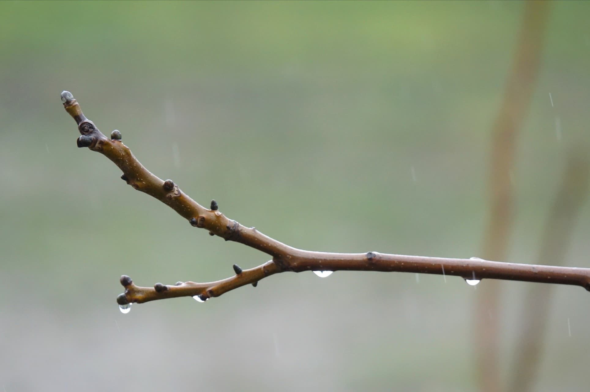 rainy day