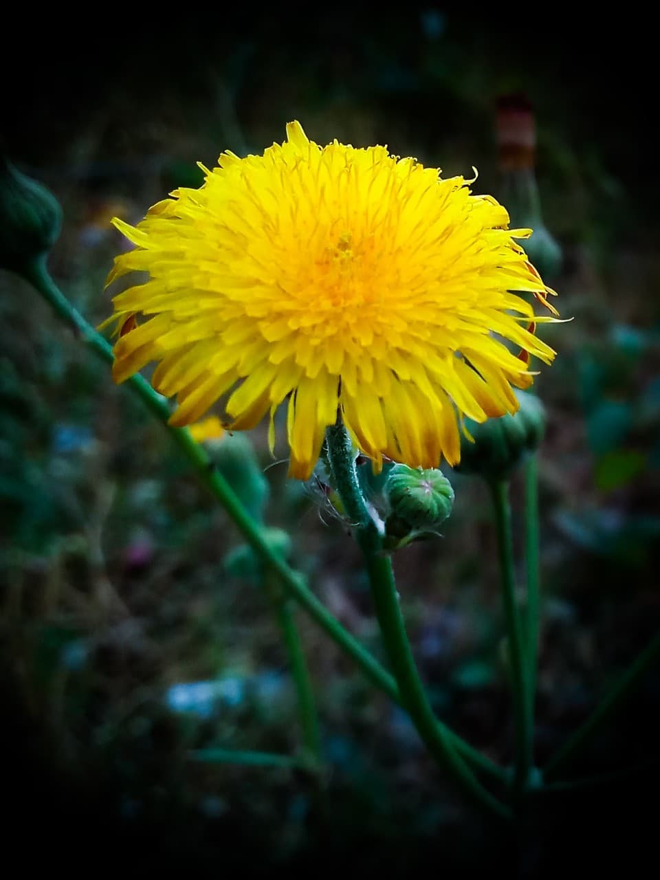 nature