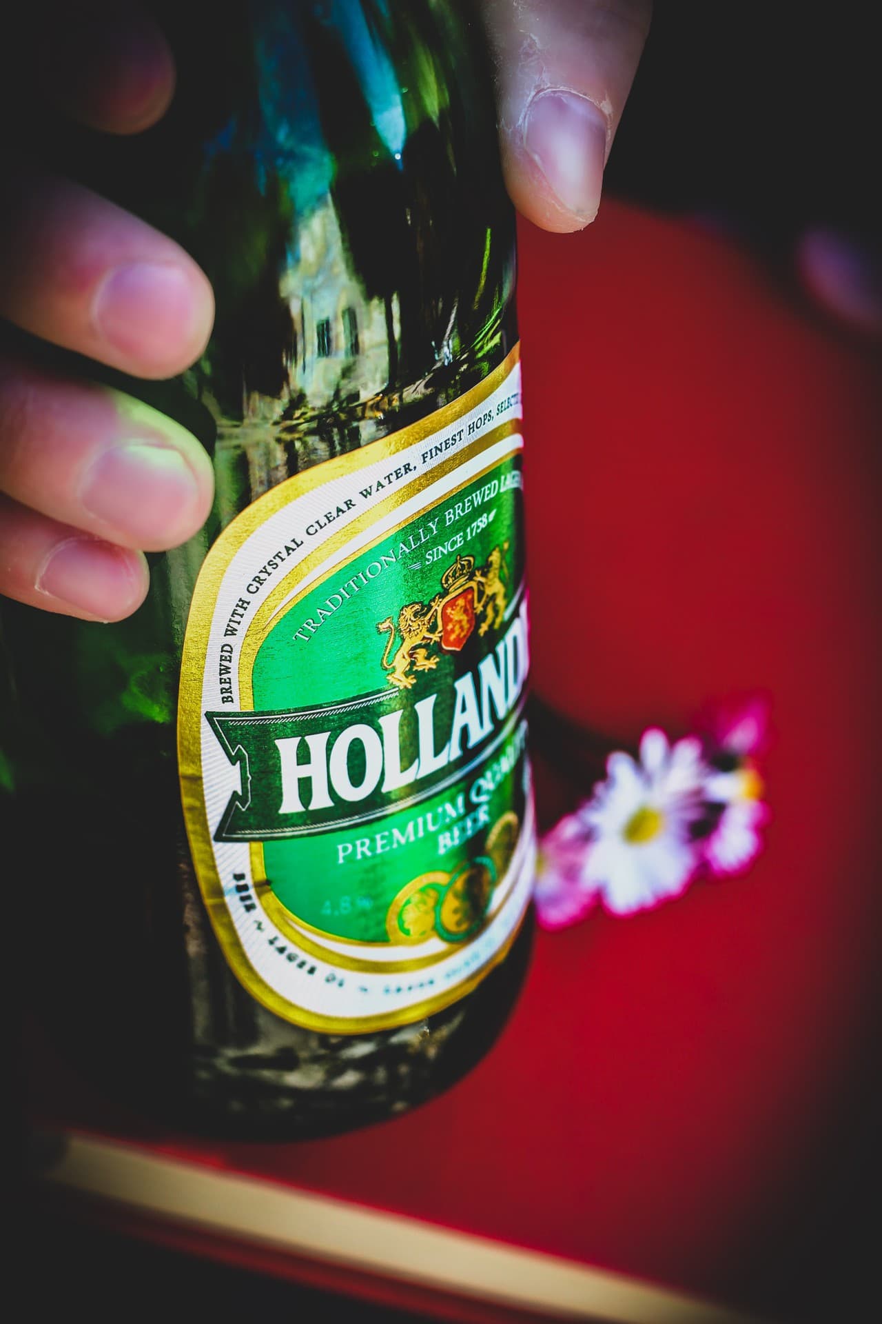 beer Holandia and spring