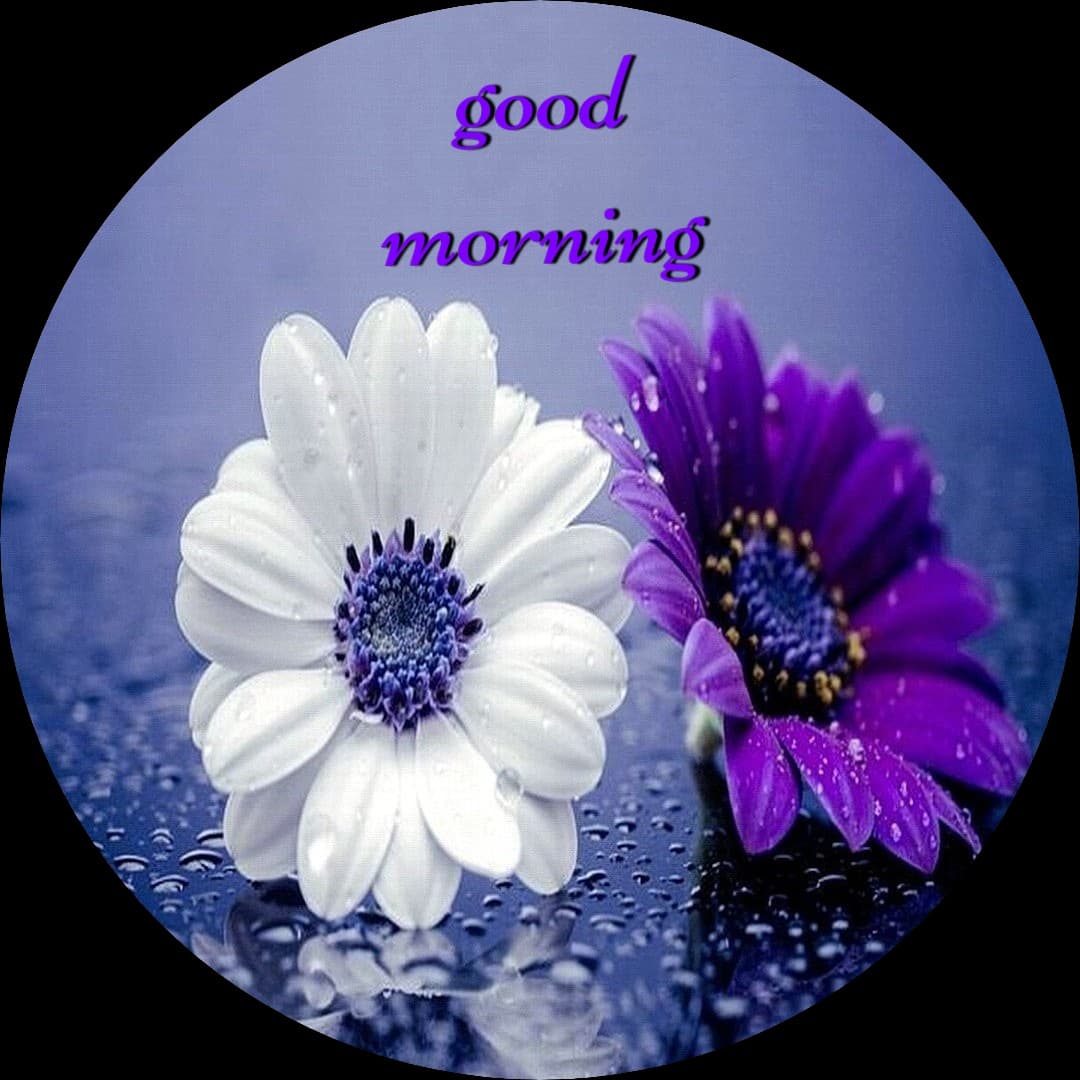 Good Morning
