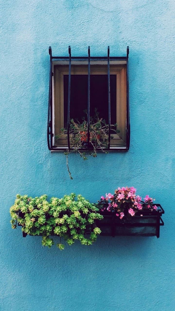just street. It's purfect for wallpaper if you love vintage