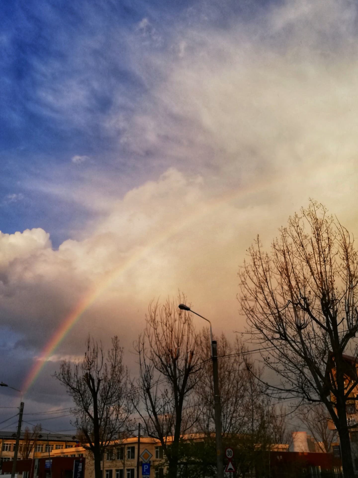 After the rain