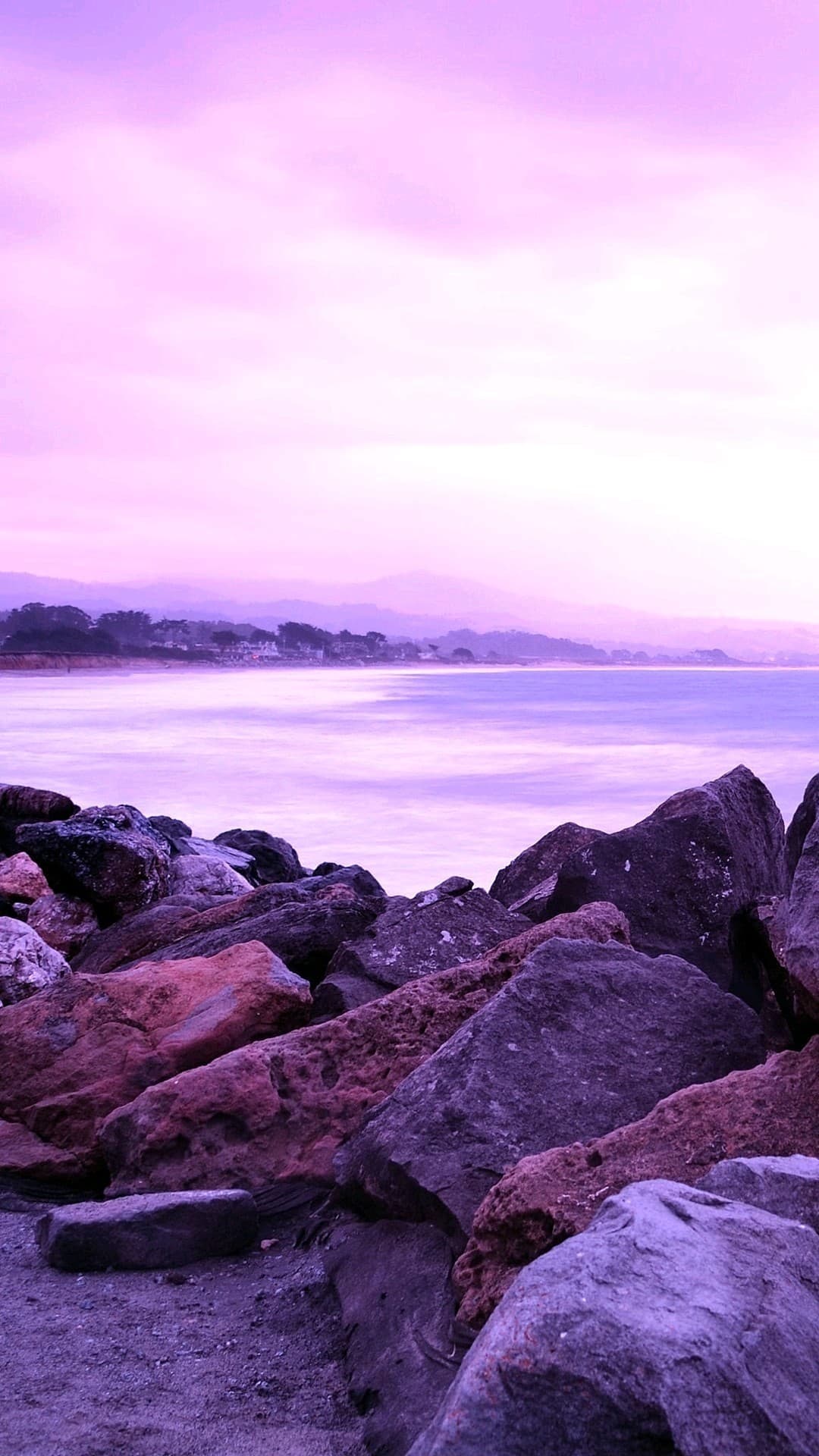 purple love♡