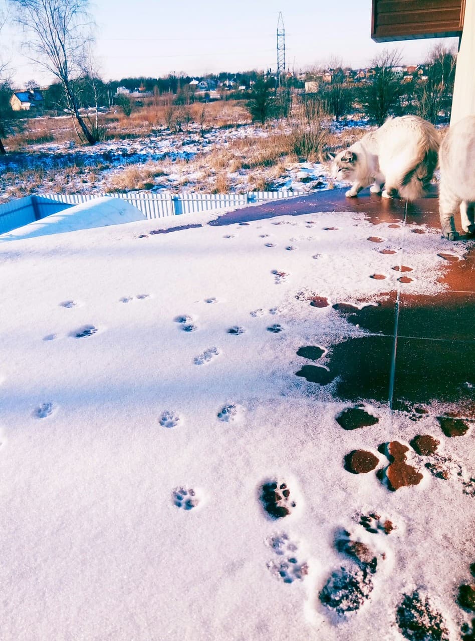 White snow)