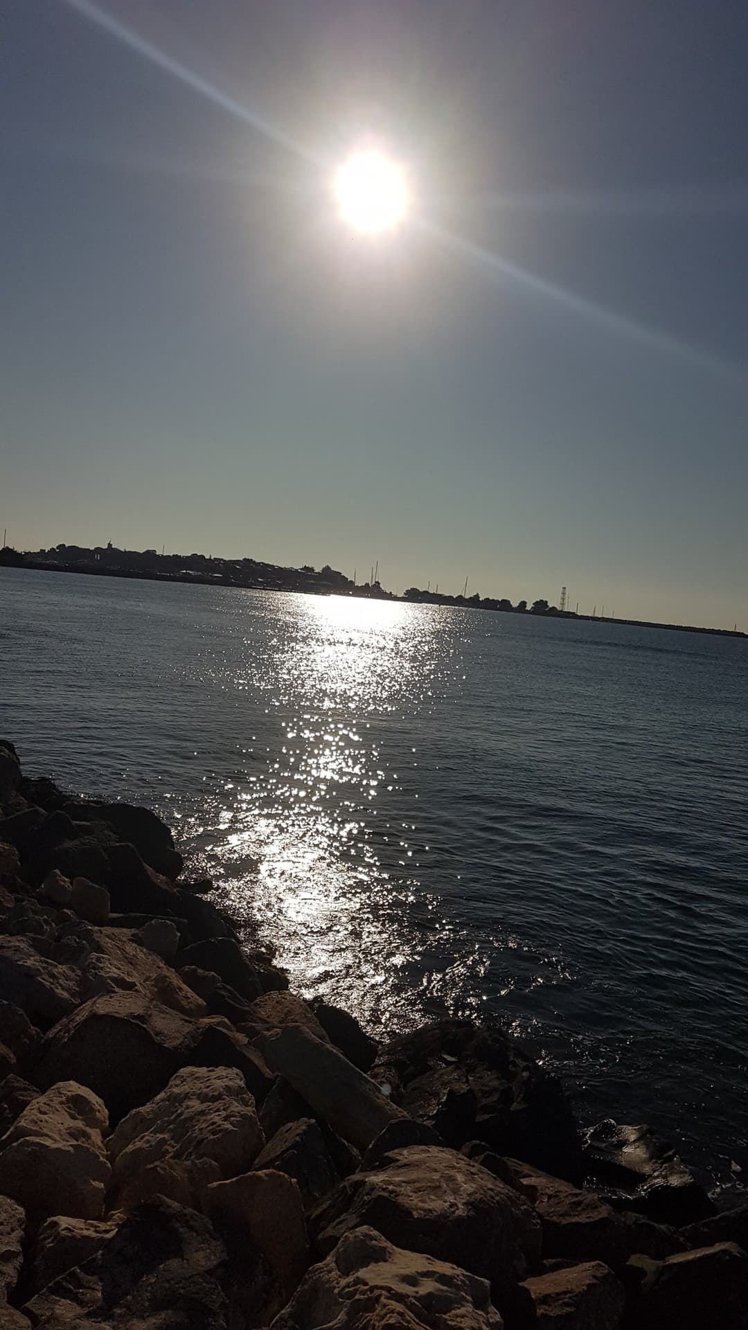 summer vibes