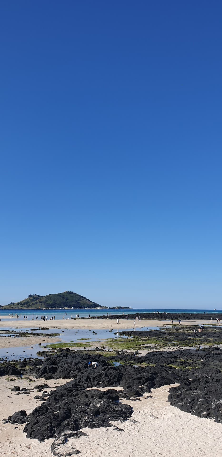 제주바다