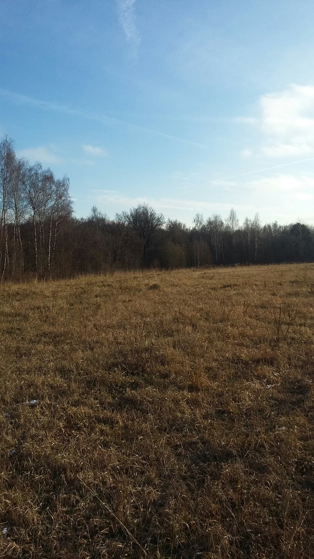 Осенний лес..