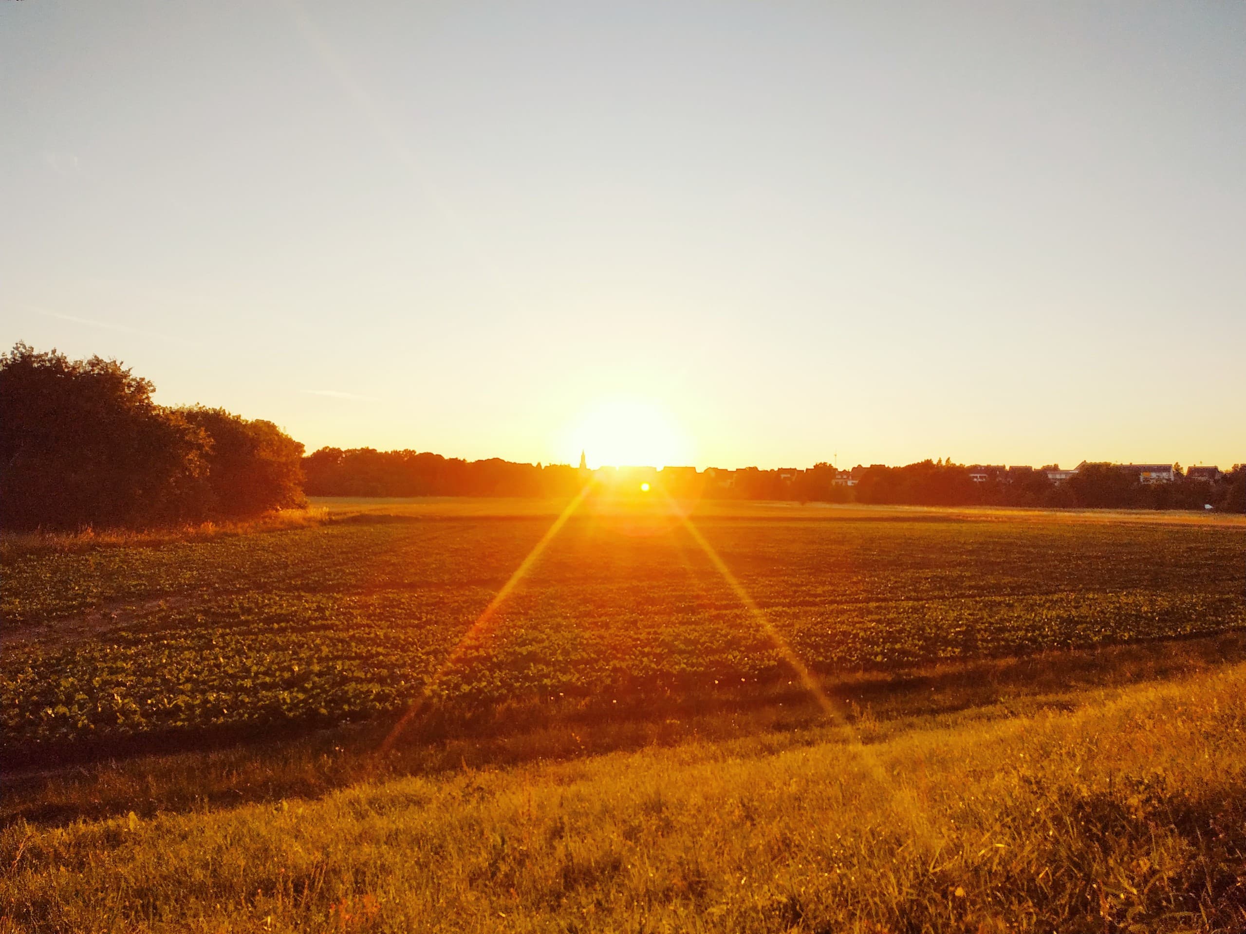 sonne