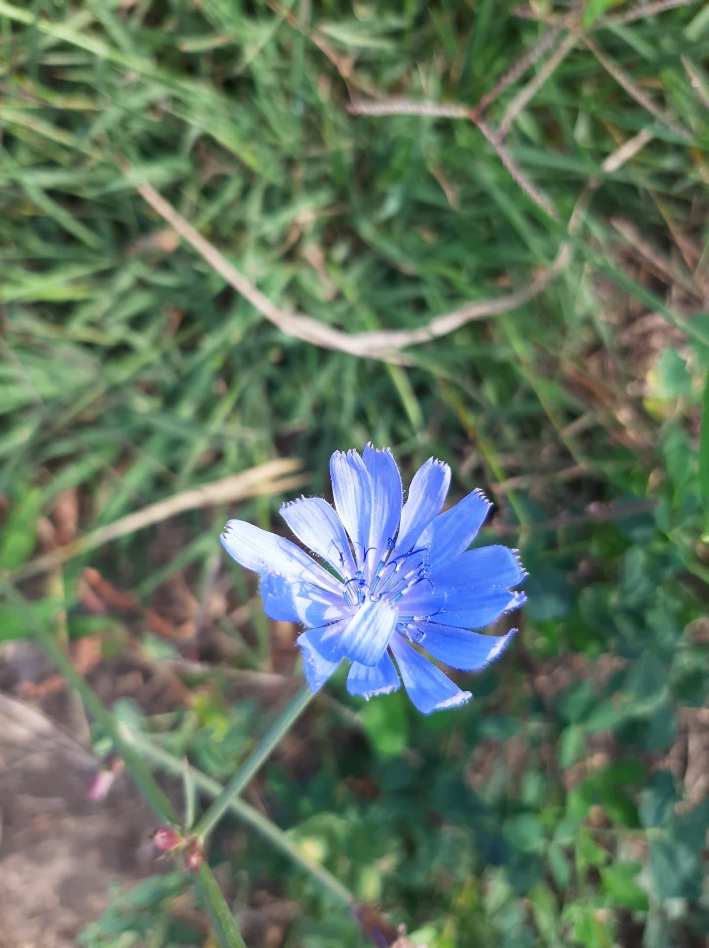 ❤