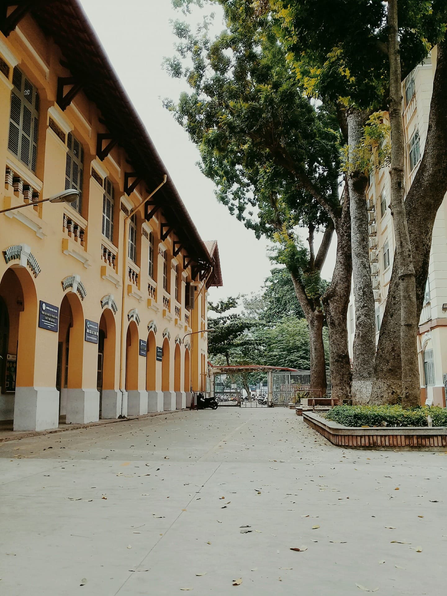 school