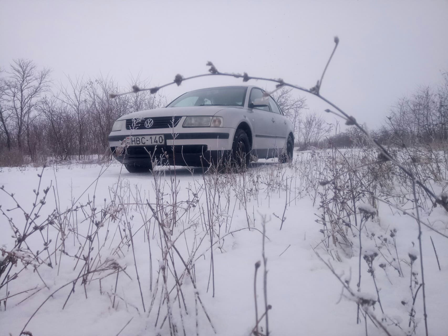 b5 passat
