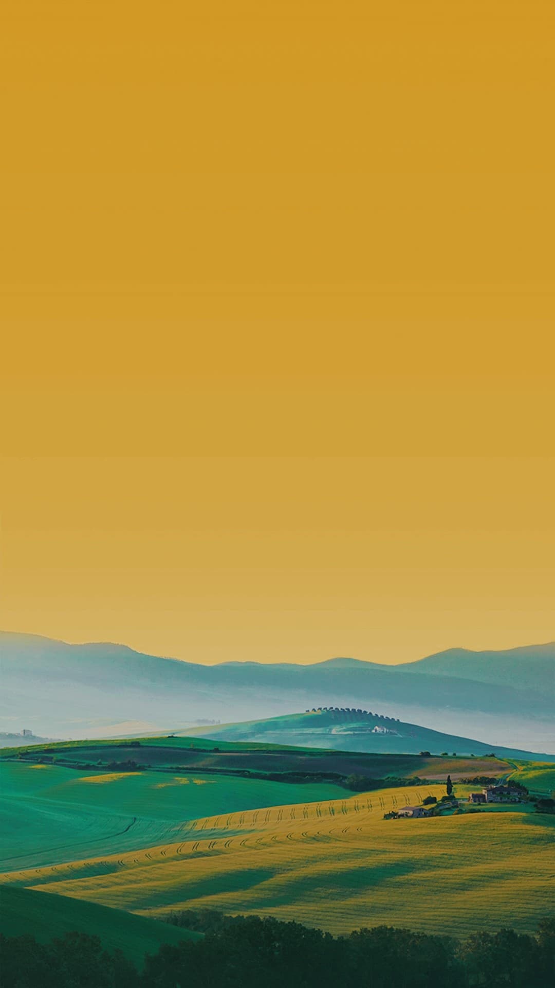 beautiful yellow nature