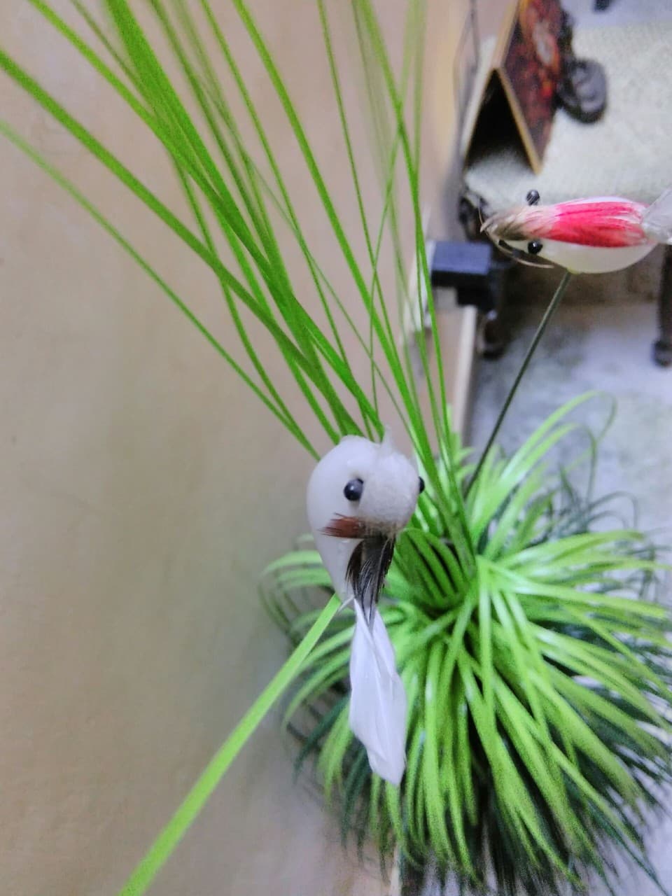 birds