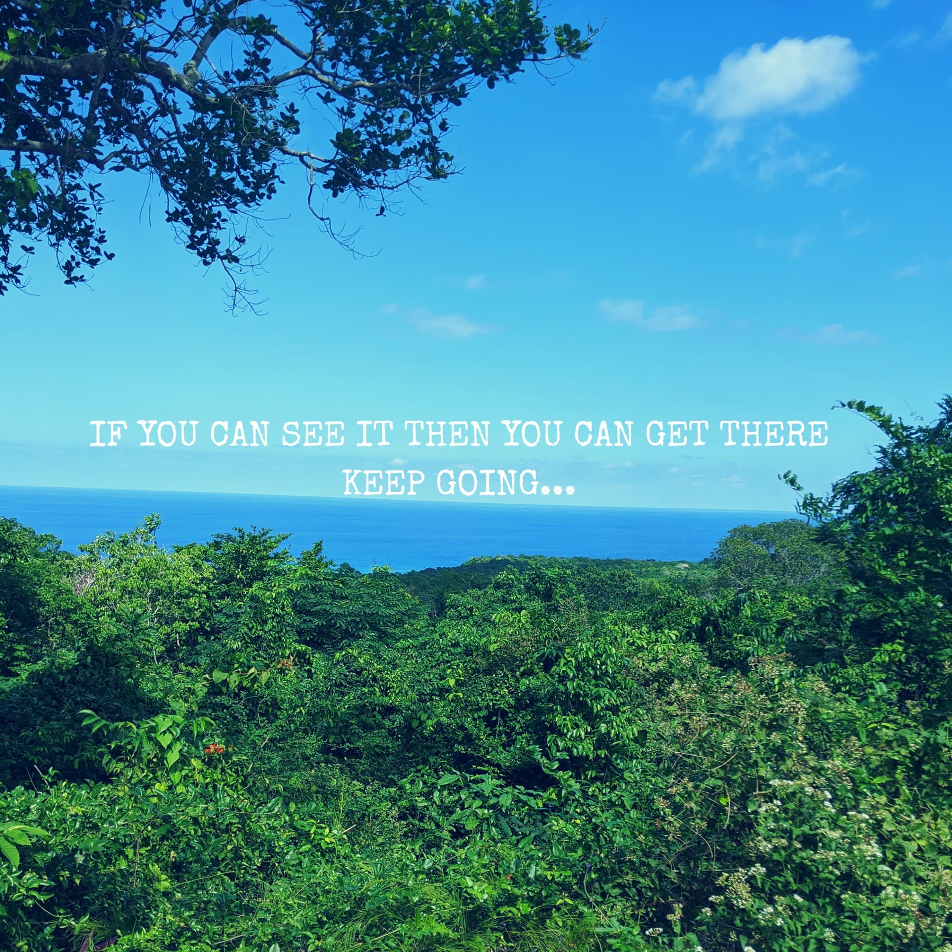 If you can see it...