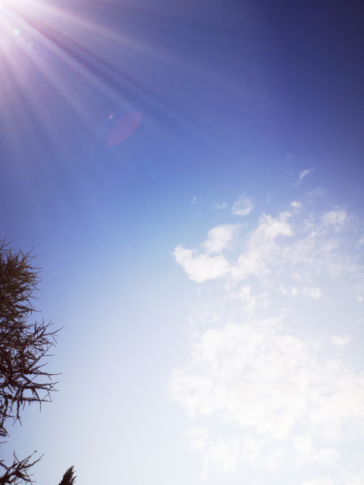 Blue blue sky