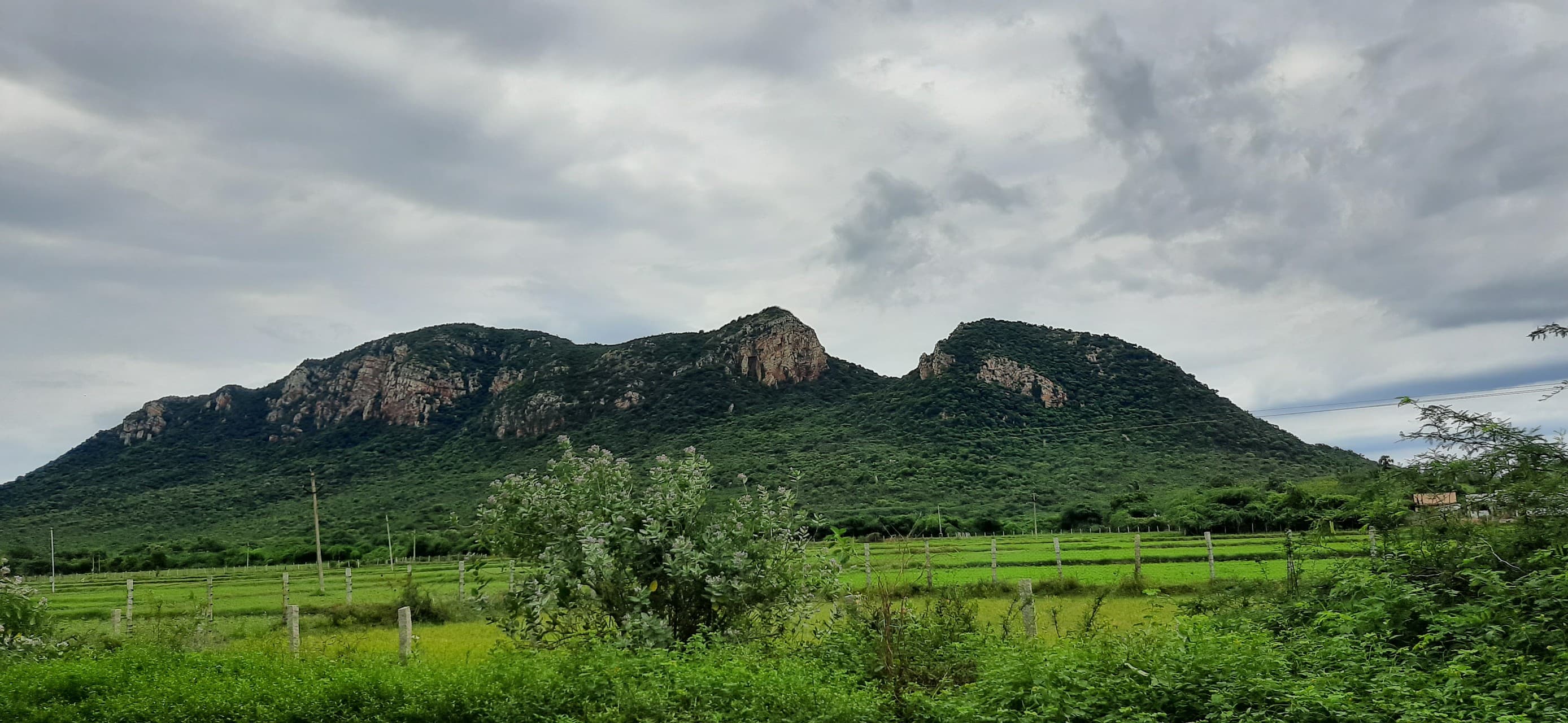 nature hill