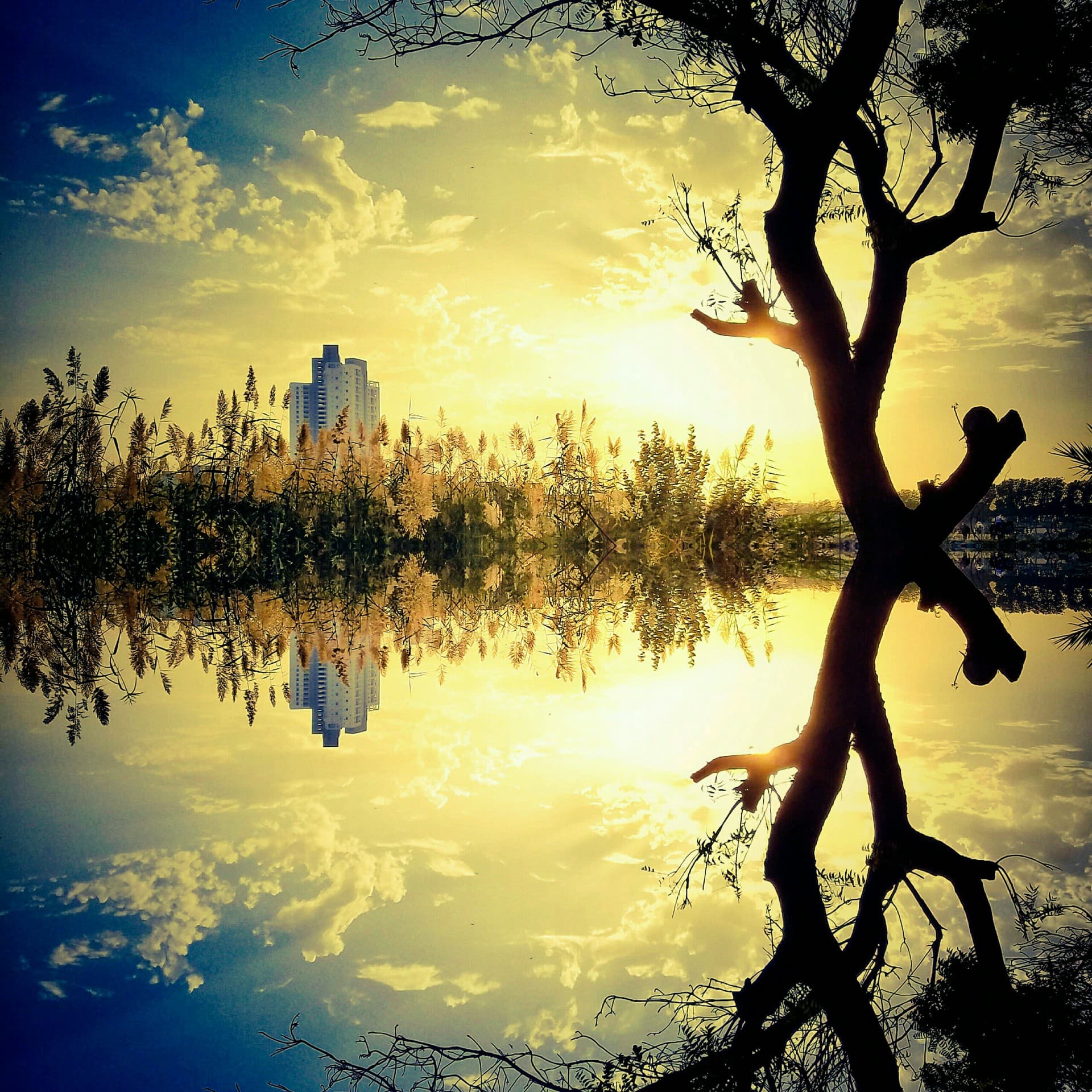 Reflection