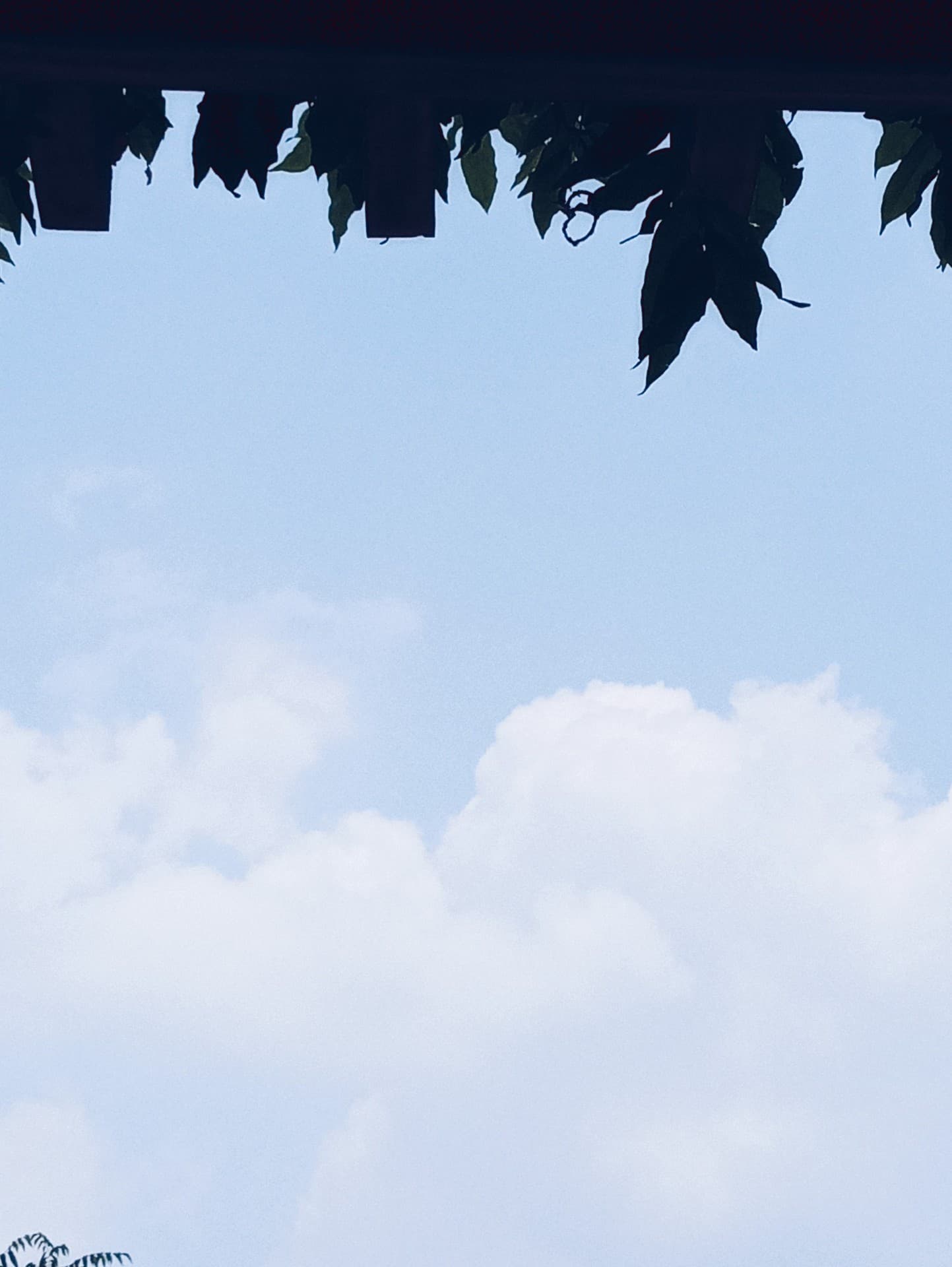 cloudyblue