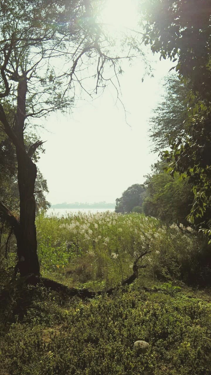 Nature at its finest.