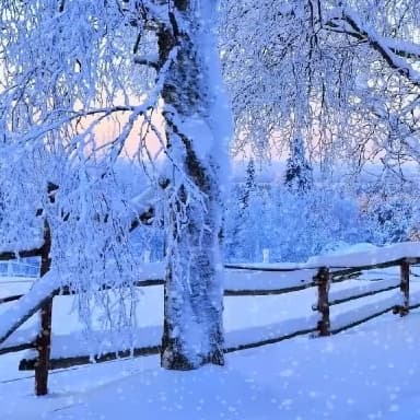 Nature ❄️❄️❄️